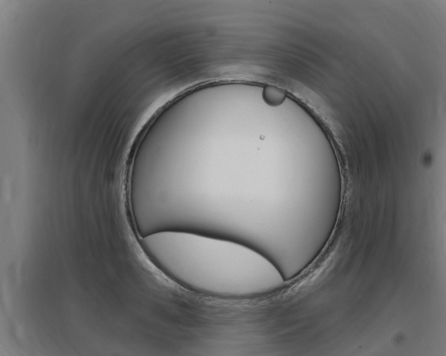 X0000097590941200802290746