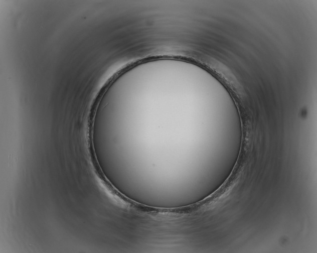 X0000097590942200802290746