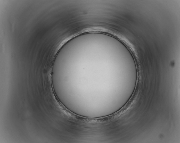 X0000097590945200802290746