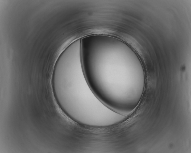 X0000097590946200802290746