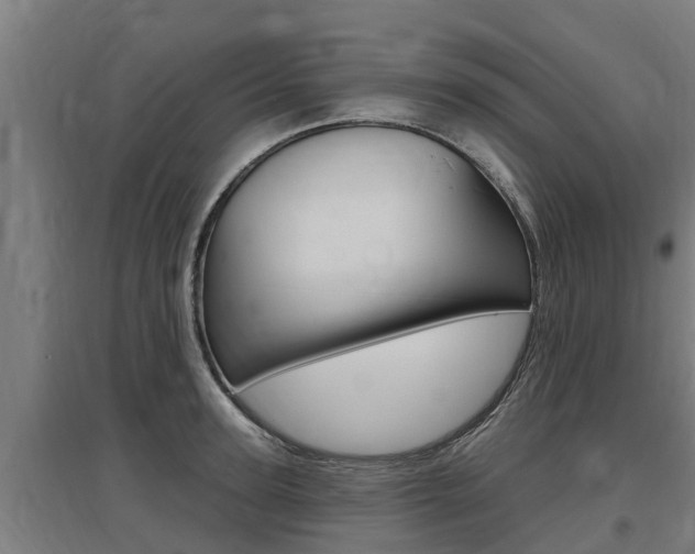 X0000097590947200802290746