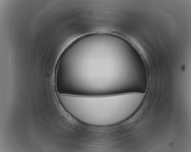 X0000097590948200802290746