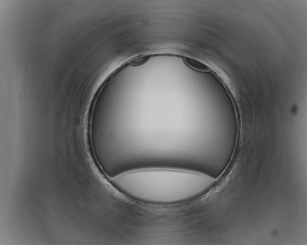 X0000097590949200802290746
