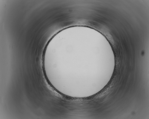 X0000097590950200802290746