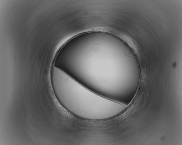 X0000097590952200802290746