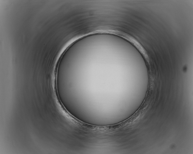 X0000097590955200802290746
