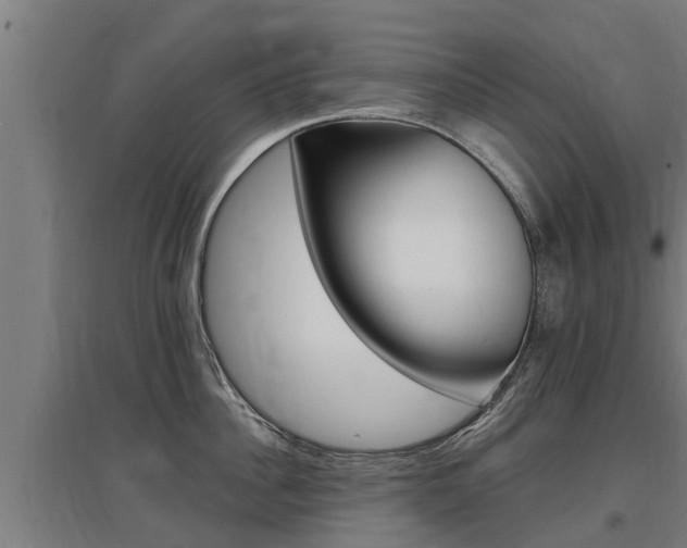 X0000097590956200802290746