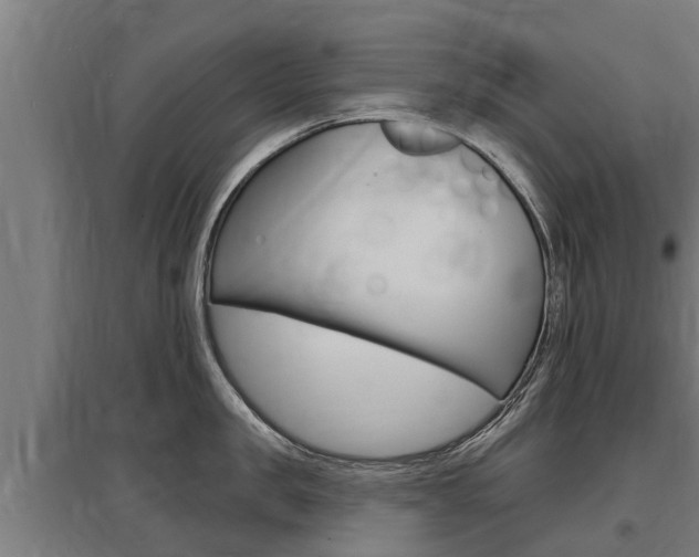 X0000097590957200802290746