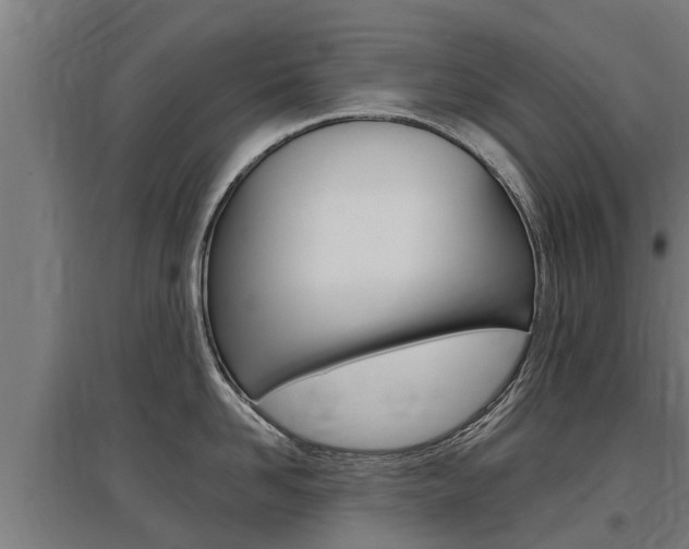 X0000097590958200802290746