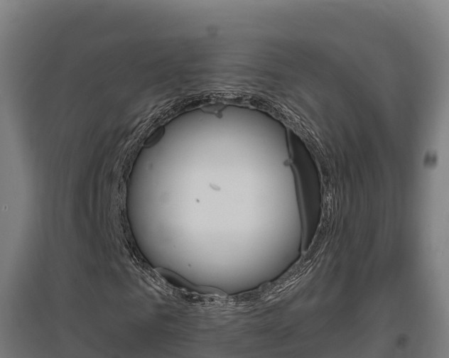 X0000097590961200802290746