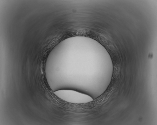 X0000097590962200802290746