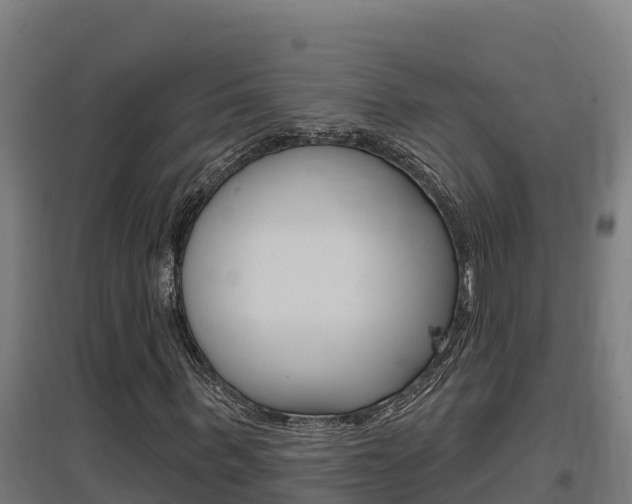 X0000097590963200802290746