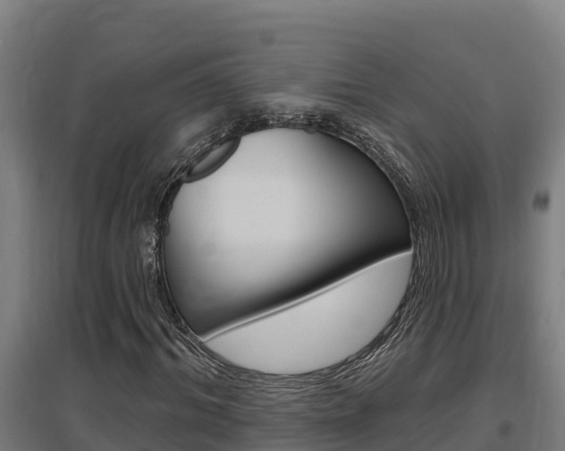 X0000097590964200802290746
