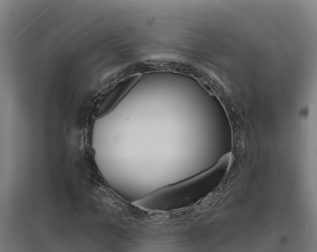 X0000097590965200802290746