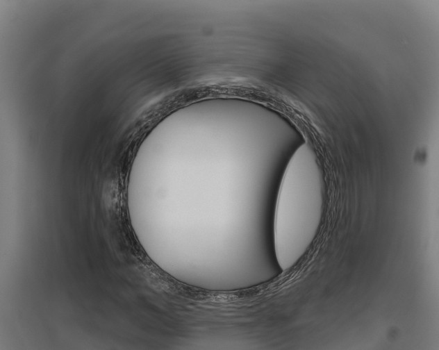 X0000097590966200802290746