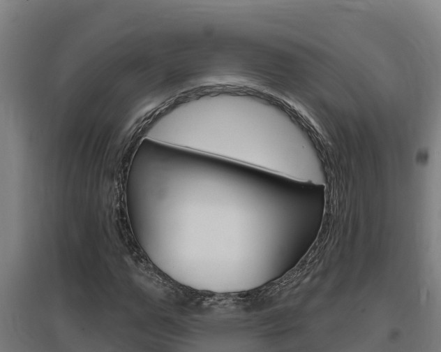 X0000097590967200802290746