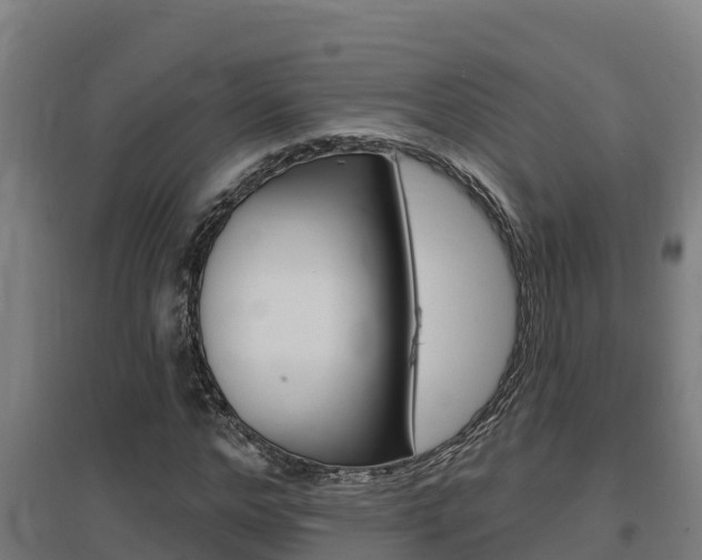 X0000097590968200802290746