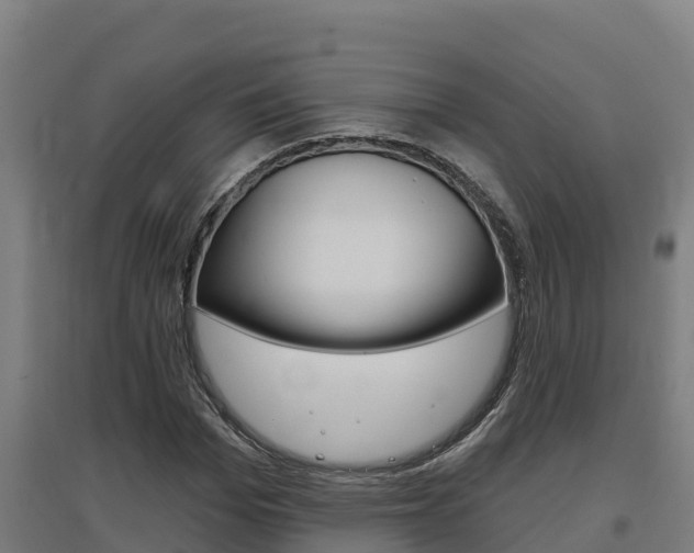 X0000097590969200802290746