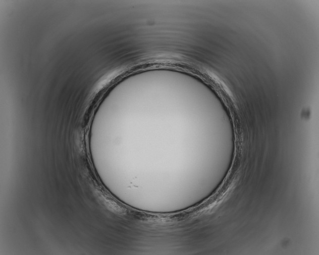 X0000097590970200802290746