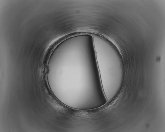 X0000097590971200802290746