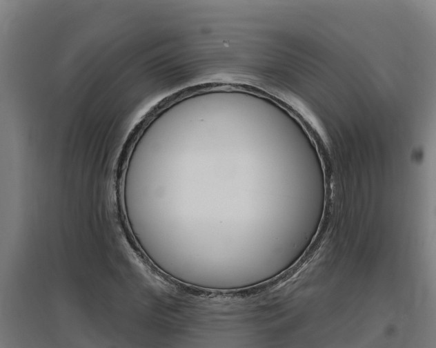 X0000097590972200802290746