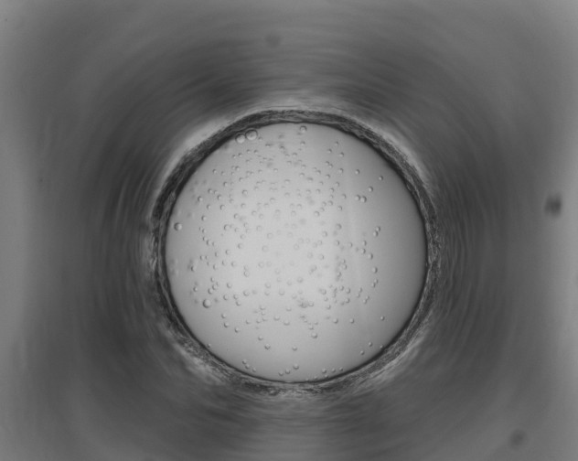 X0000097590974200802290746