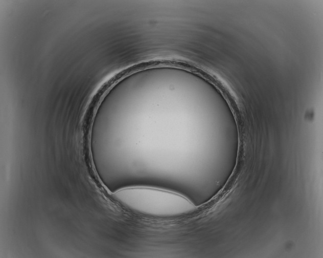 X0000097590975200802290746