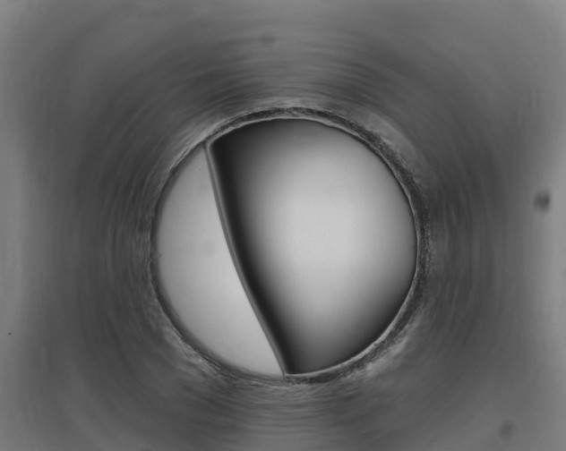 X0000097590977200802290746