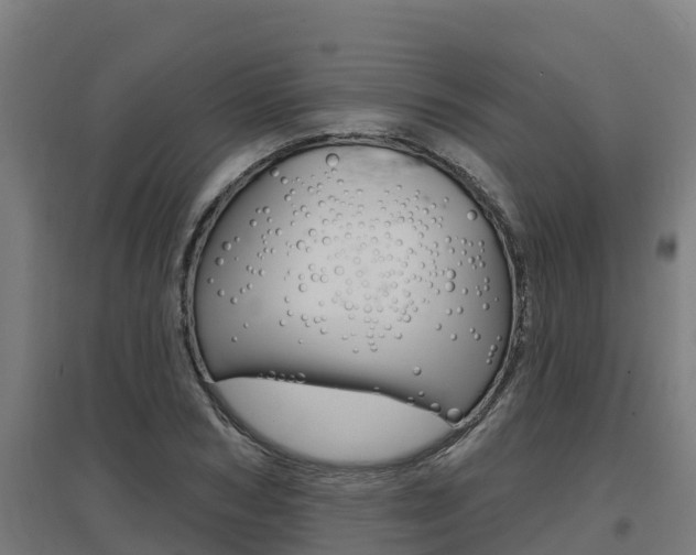 X0000097590978200802290746