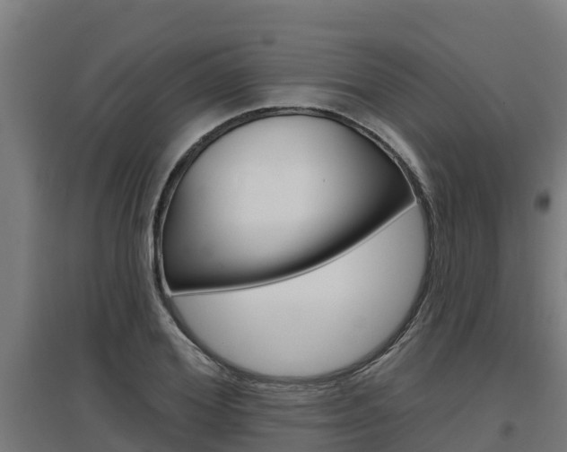 X0000097590980200802290746