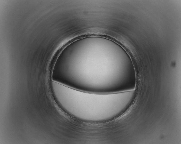 X0000097590981200802290746
