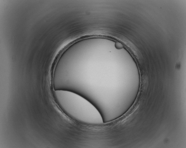 X0000097590982200802290746