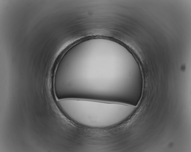 X0000097590983200802290746