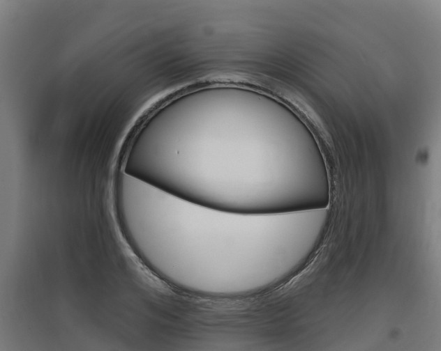 X0000097590984200802290746