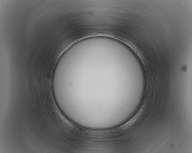 X0000097590985200802290746