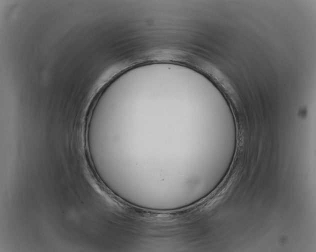 X0000097590986200802290746