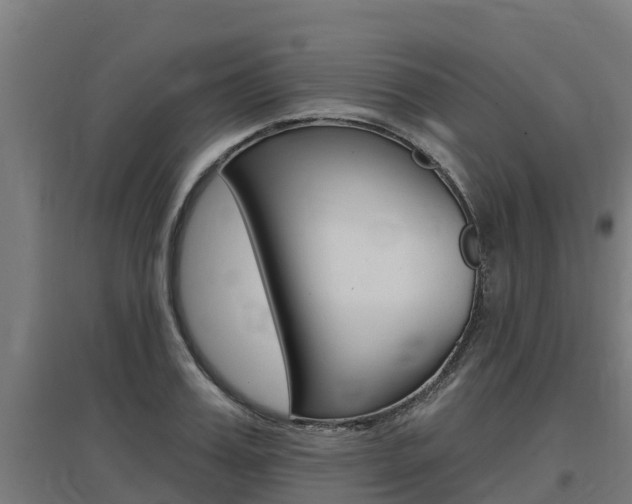 X0000097590987200802290746