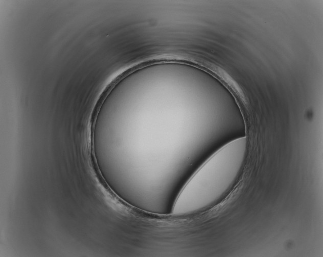 X0000097590988200802290746