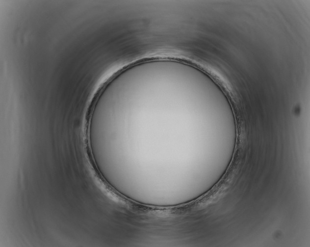X0000097590990200802290745