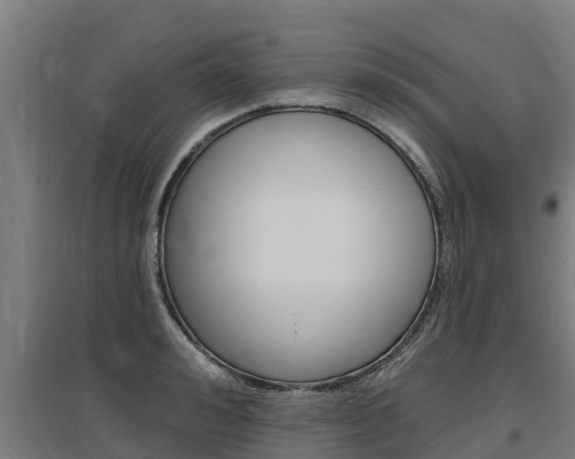 X0000097590992200802290745