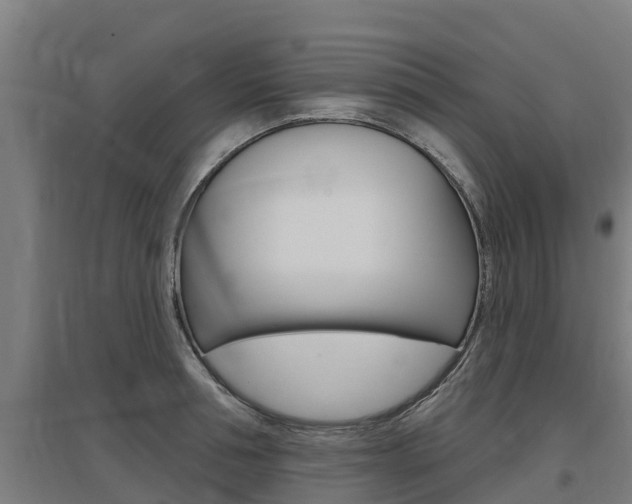 X0000097590994200802290745