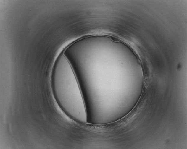 X0000097590995200802290745