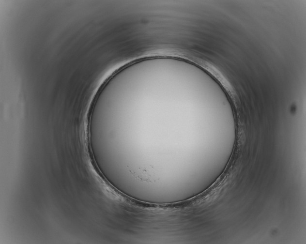 X0000097590996200802290745