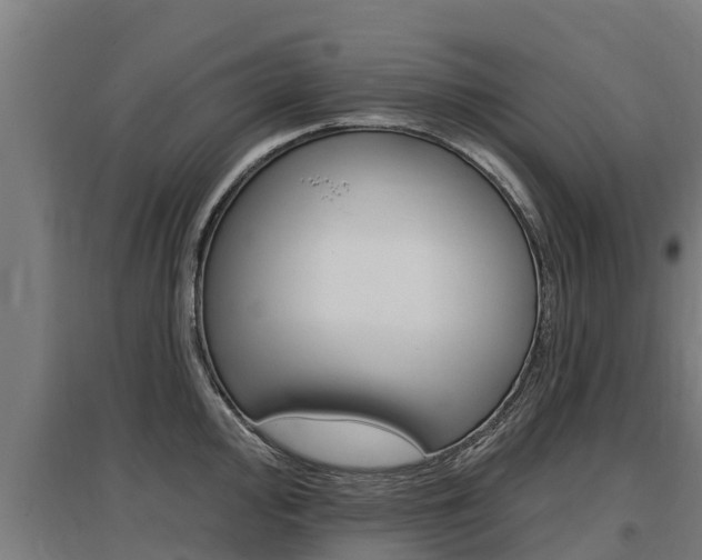 X0000097591000200802290745