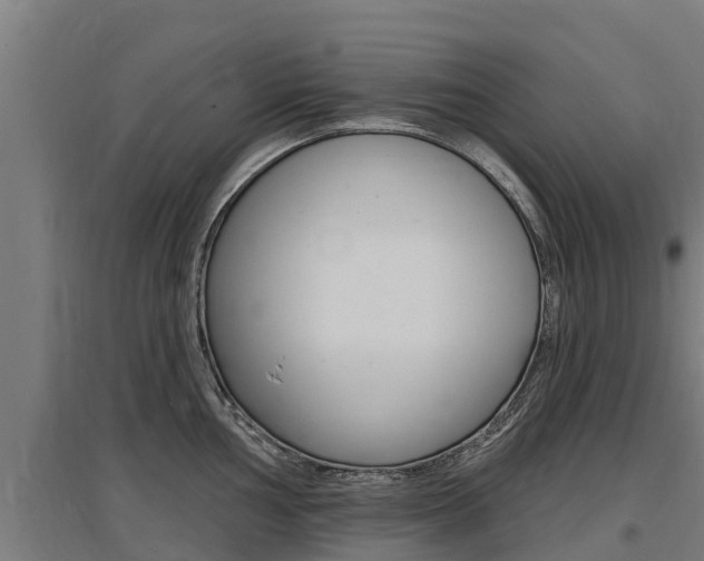 X0000097591002200802290745
