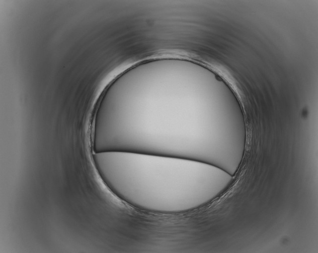 X0000097591003200802290745