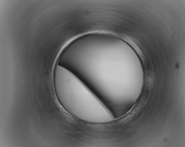 X0000097591004200802290745