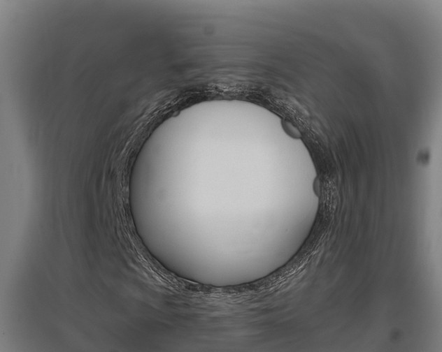 X0000097591009200802290744