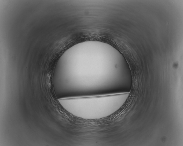 X0000097591010200802290744