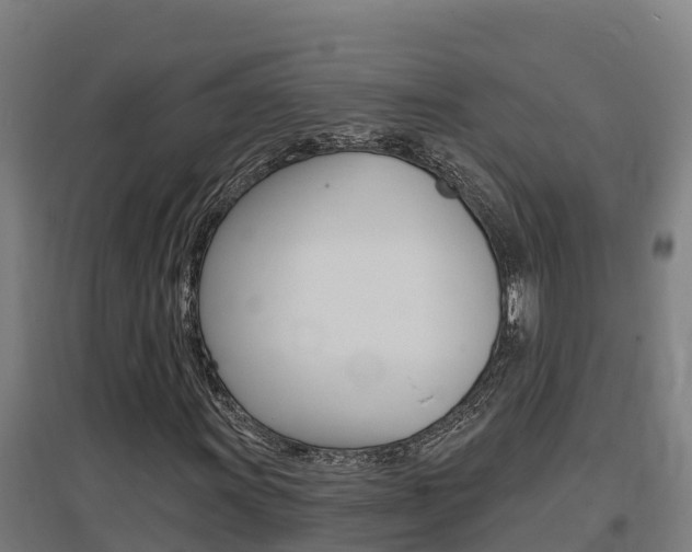 X0000097591011200802290744